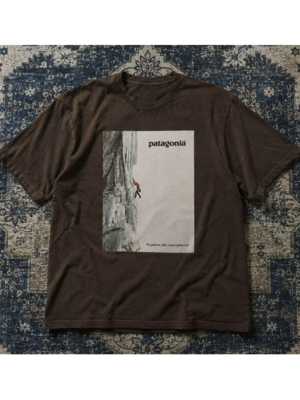 Patagonia Brown Ice Climb Graphic Short-Sleeve Tee